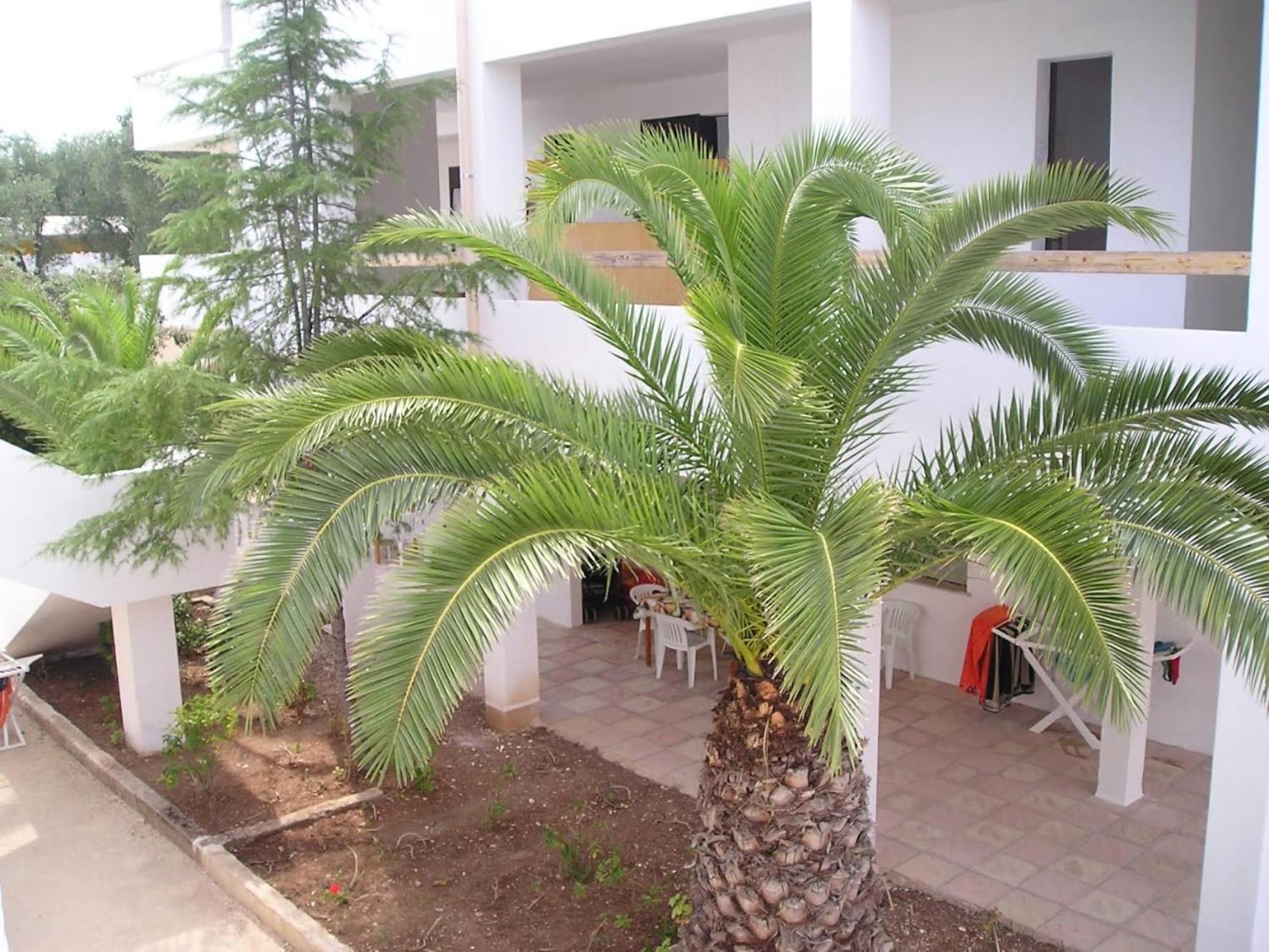 ויאסטה Residence Baia Del Gallo מראה חיצוני תמונה